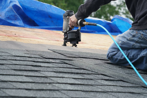 Roof Gutter Cleaning in Pawnee, IL